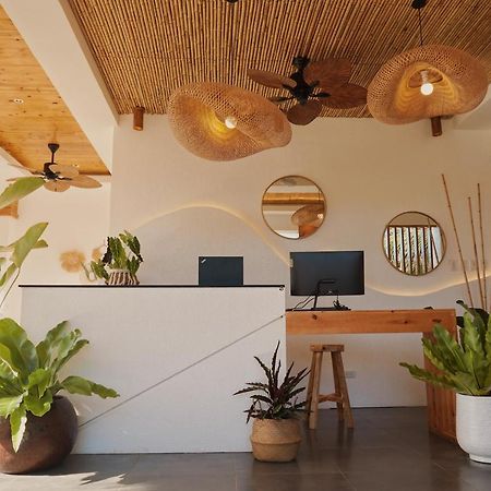 Molly Resort Bohol Taporok Luaran gambar
